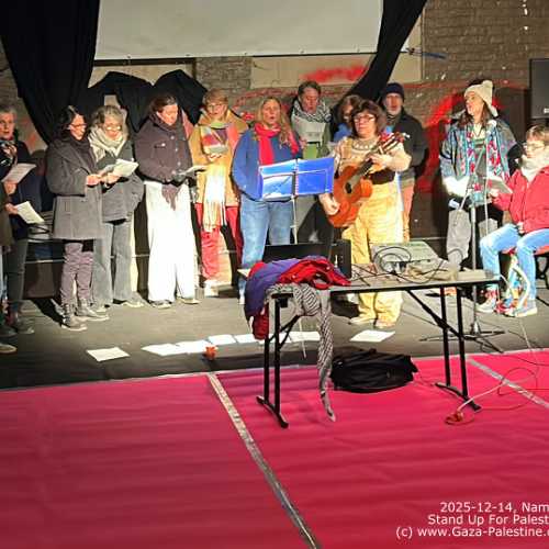2025-12-14, Namur : Stand Up for Palestine
